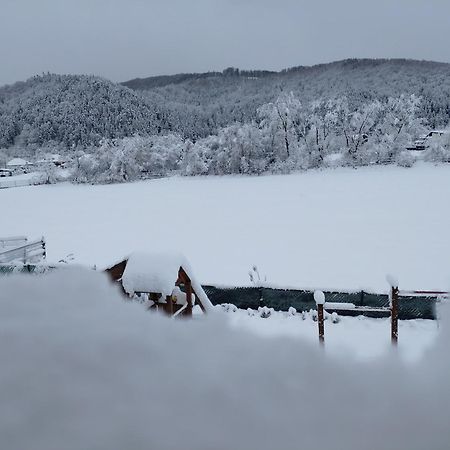 ホテル Dom Hills Bucovina グラ・フモアルルイ エクステリア 写真