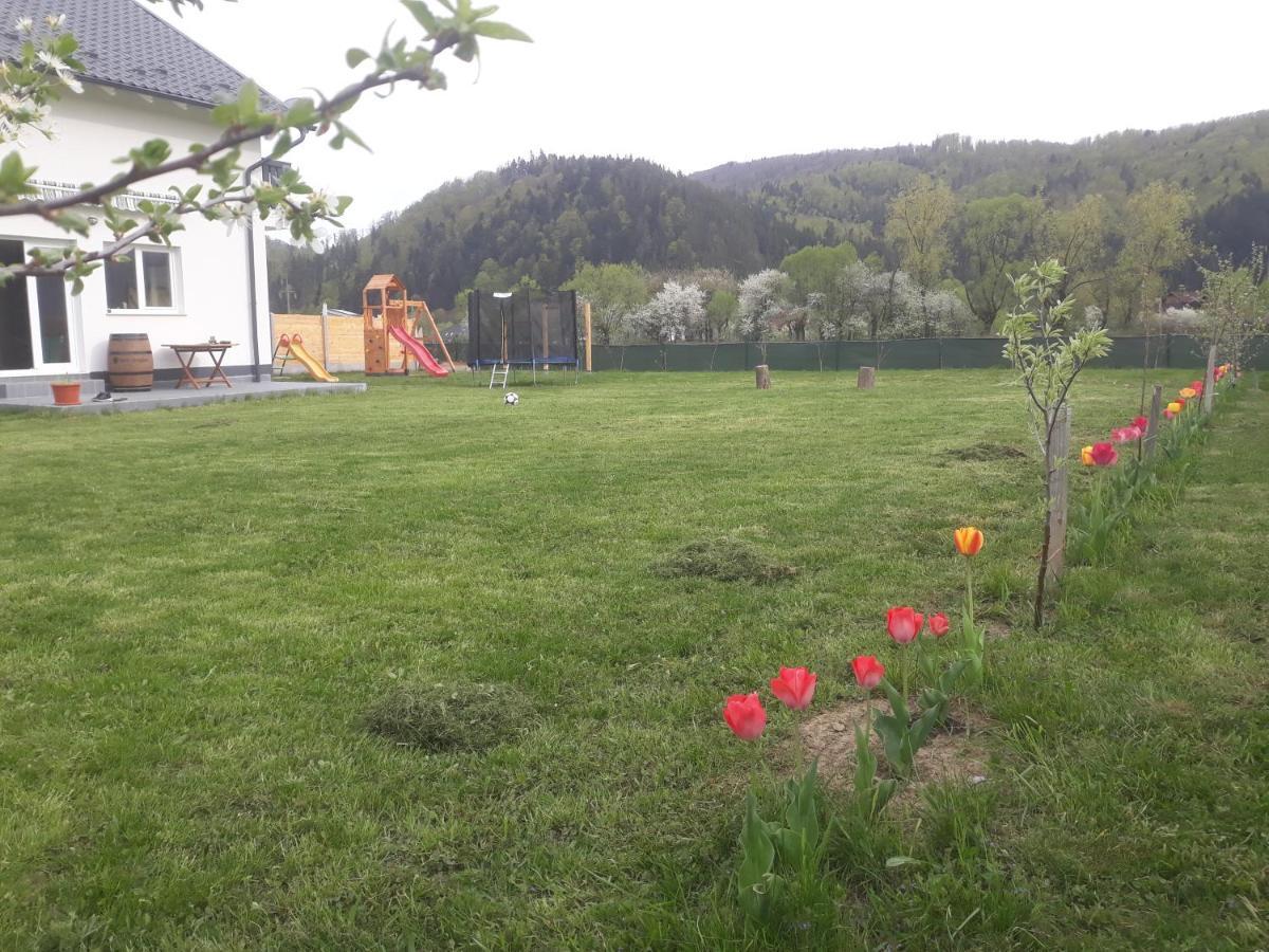 ホテル Dom Hills Bucovina グラ・フモアルルイ エクステリア 写真