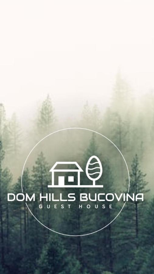 ホテル Dom Hills Bucovina グラ・フモアルルイ エクステリア 写真